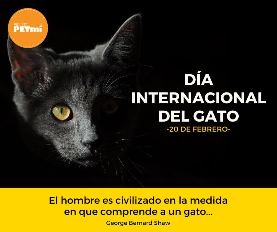 Día Internacional del Gato (3) (1)