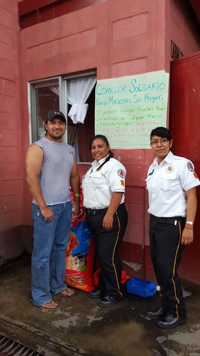 Comedor solidario para mascotas sin hogar - Bomberos Voluntarios Guatemala