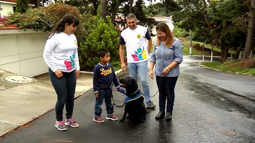 Kimono, el primer perro de asistencia para niños con autismo en Guatemala