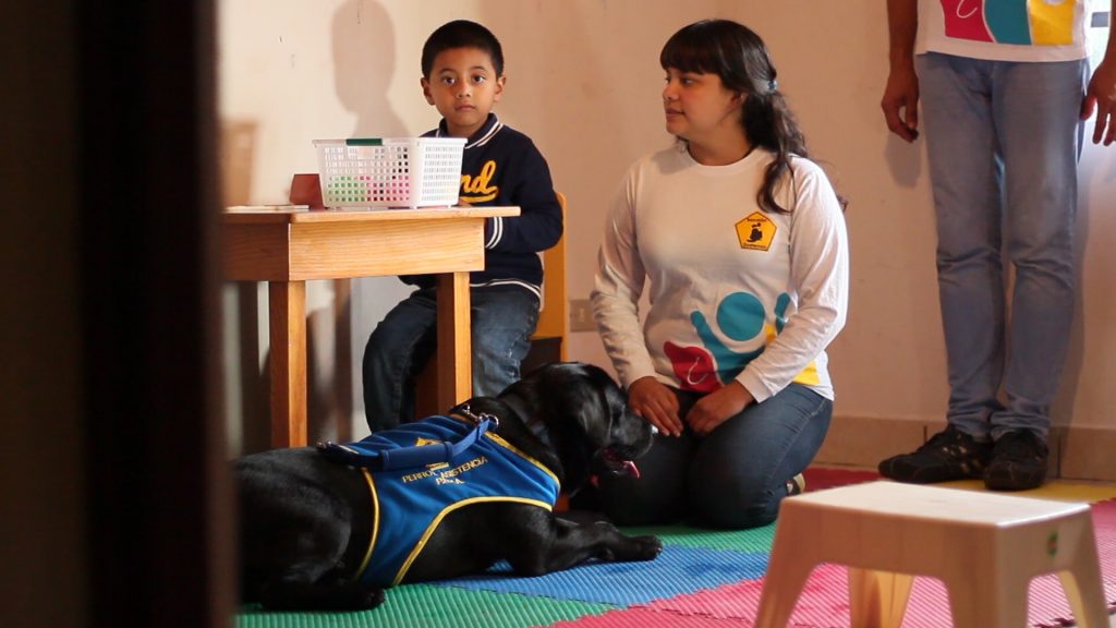 Kimono, el primer perro de asistencia para niños con autismo en Guatemala