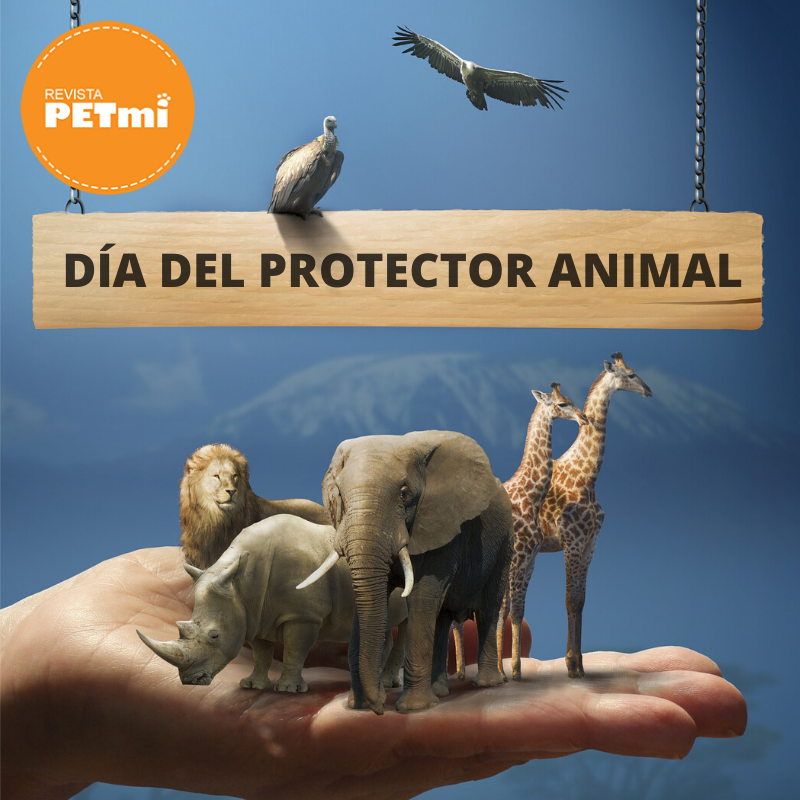 dia del protector animal