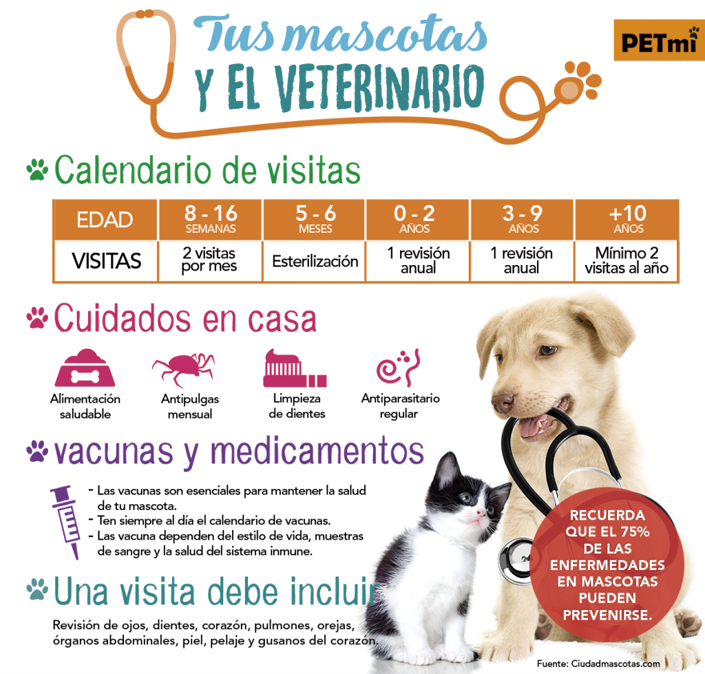 vacunas-en-perros