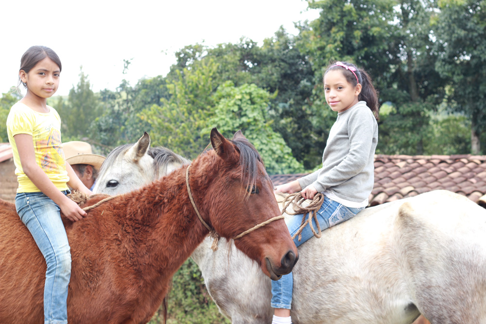 Equinos en Guatemala