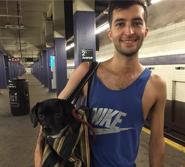 El metro de NY prohíbe la entrada a los perros 3