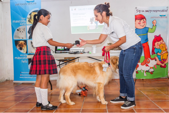 tenencia responsable de mascotas guatemala