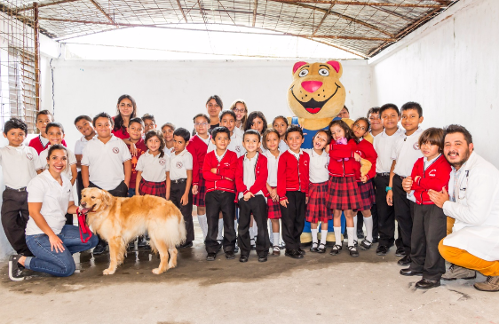 Charlas de Tenencia Responsable de Mascotas - tenencia responsable de mascotas guatemala