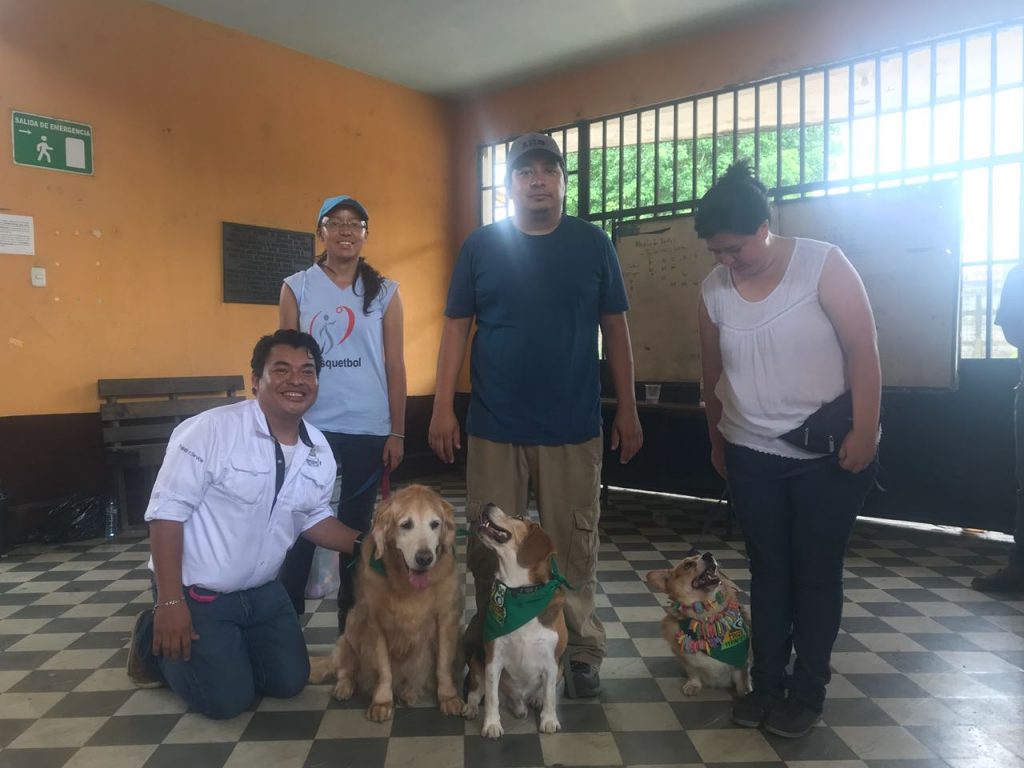Mascotas Terapeutas de Guatemala
