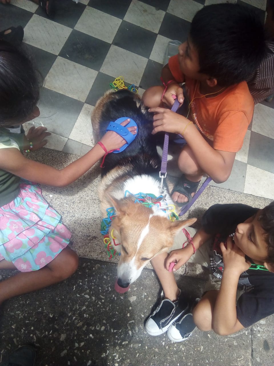 Dog Therapy Guatemala