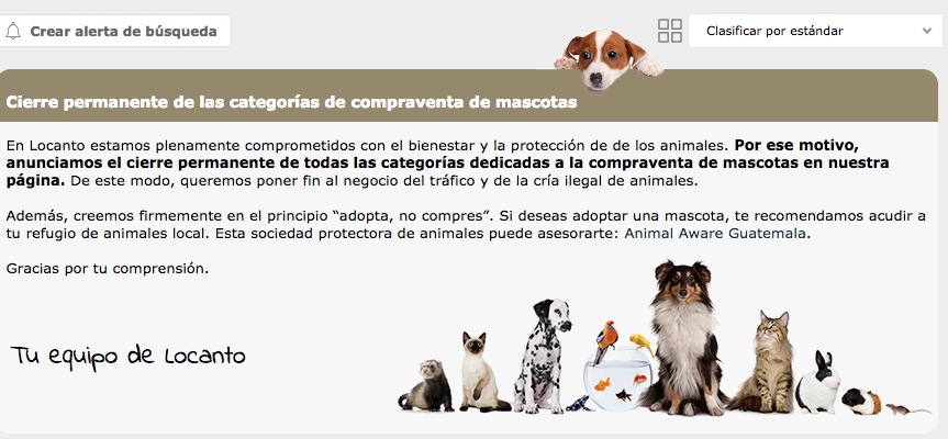 España dice NO a la venta de mascotas en linea! 