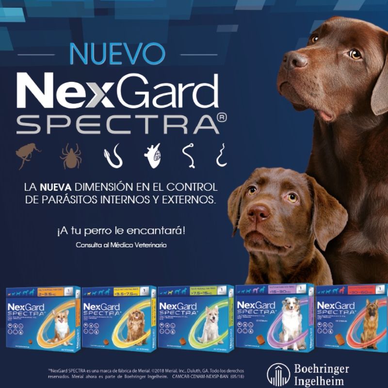 NEXGARD SPECTRA, NEXGARD SPECTRA, la tableta masticable que protege a tu perro contra pulgas, garrapatas, ácaros, los parásitos redondos más importantes que afectan al perro y el humano y además, previene la mortal enfermedad causada por el parásito del corazón