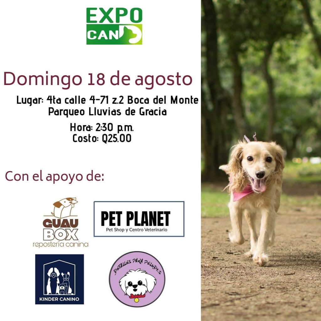 expo can 2019