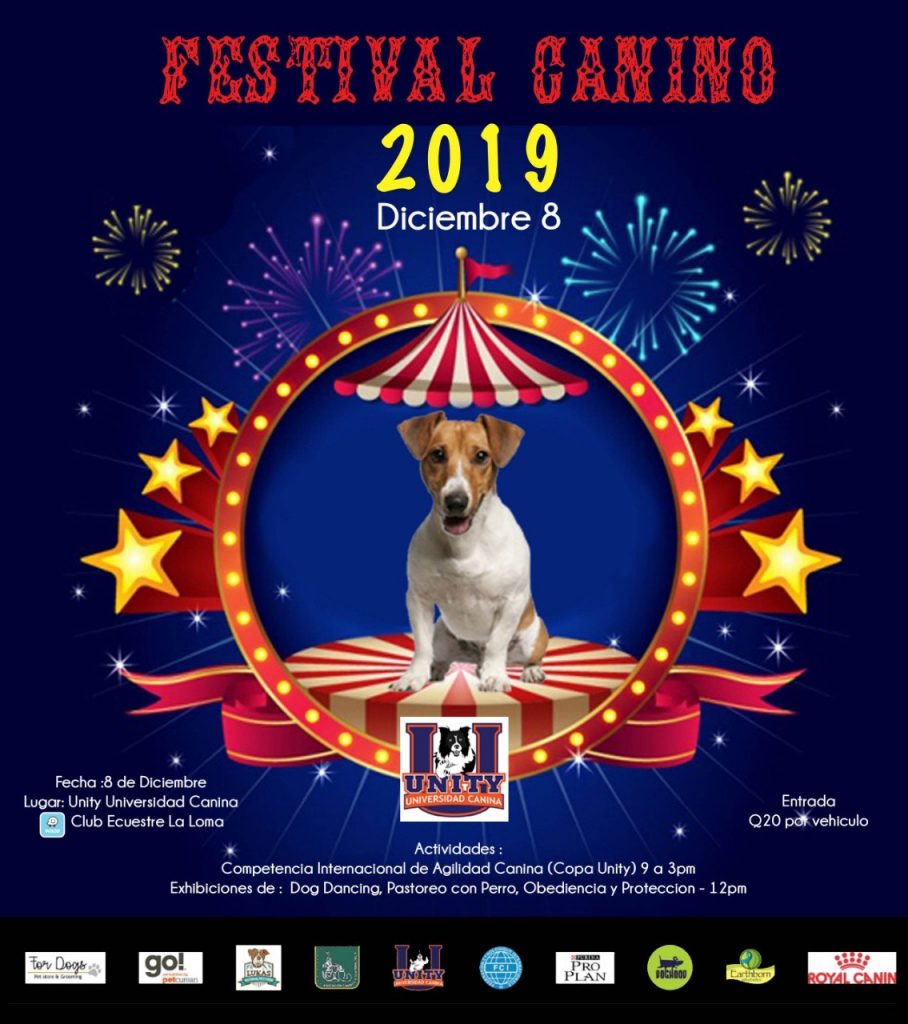 Festival Canino 2019 Agility en Guatemala 