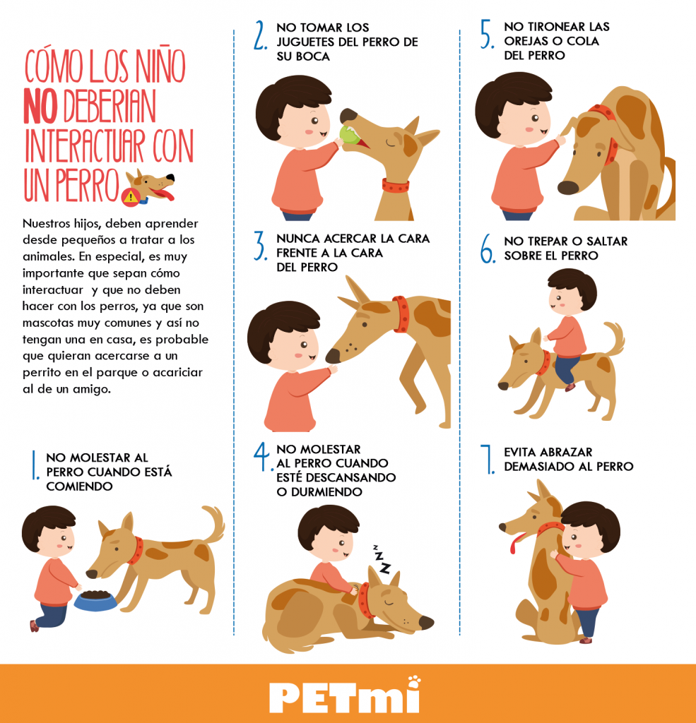 Cómo los niños NO deberían interactuar con un perro