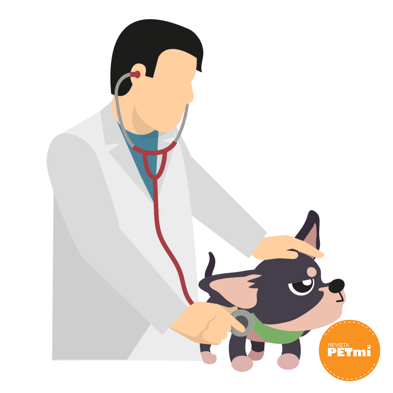 Factores que pueden hacer enojar a un perro, visitas al veterinario 