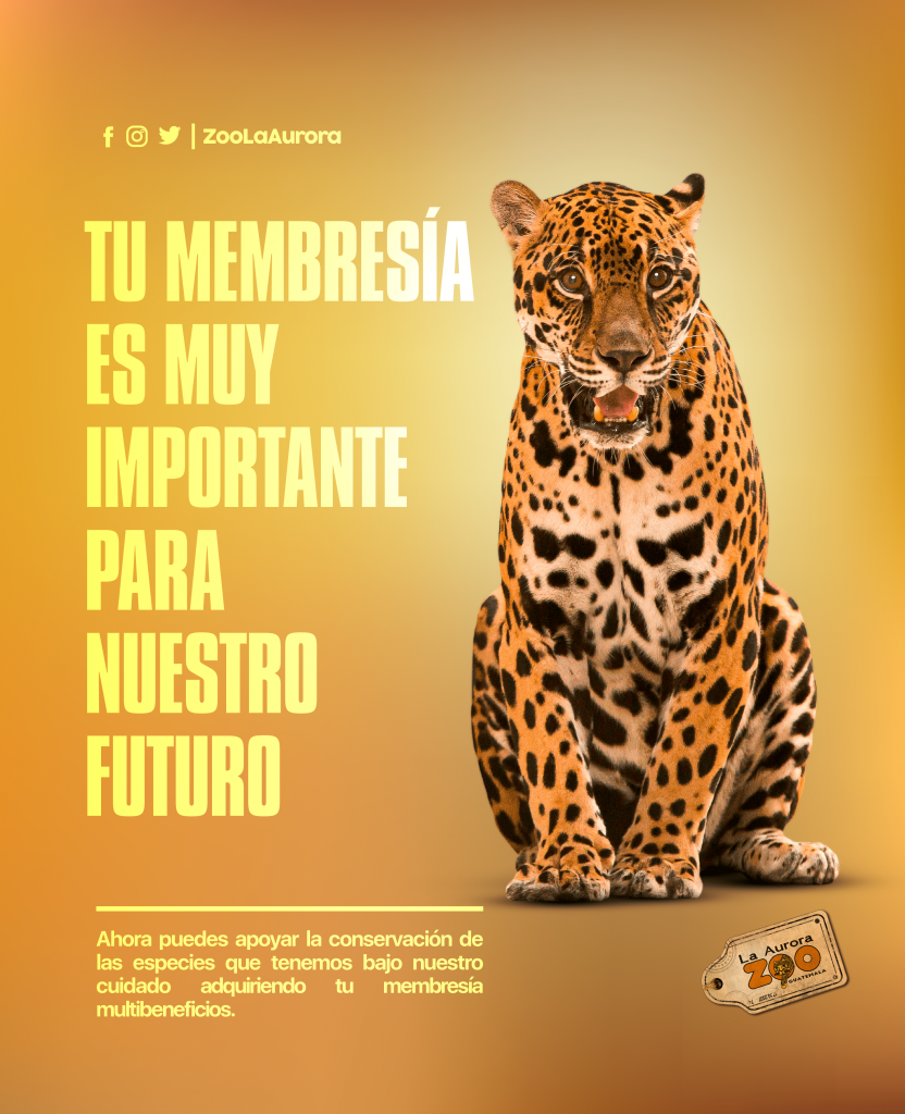 Las nuevas membresias del zoologico La Auroa te traerán muchos beneficios y diversión 