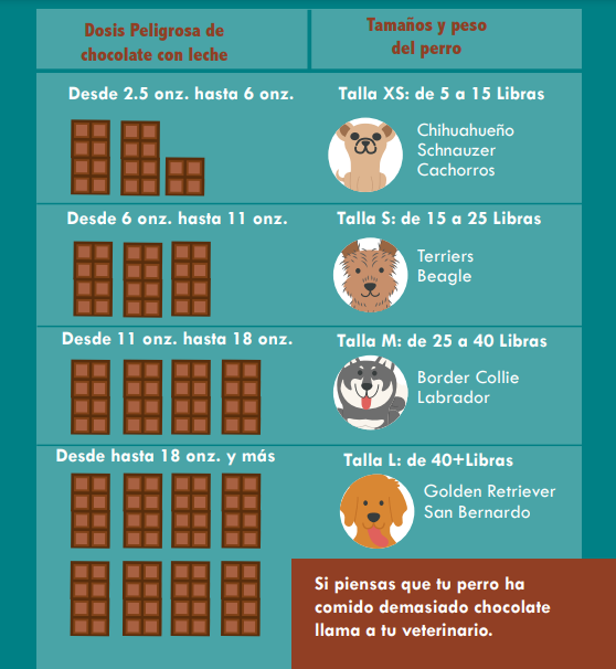 ¿Por qué el chocolate es tóxico para perros y gatos?