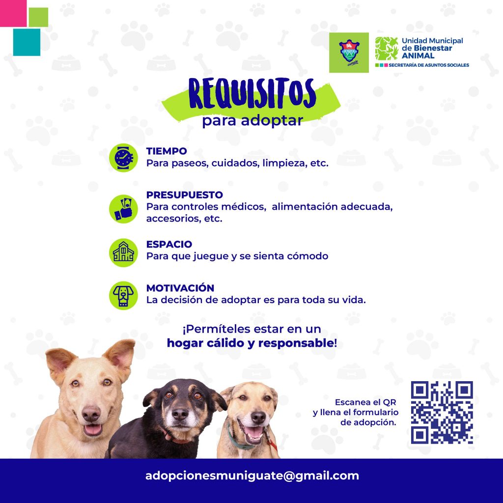 Dirección de Bienestar Animal Muniguate Adopción de Perros y Gatos