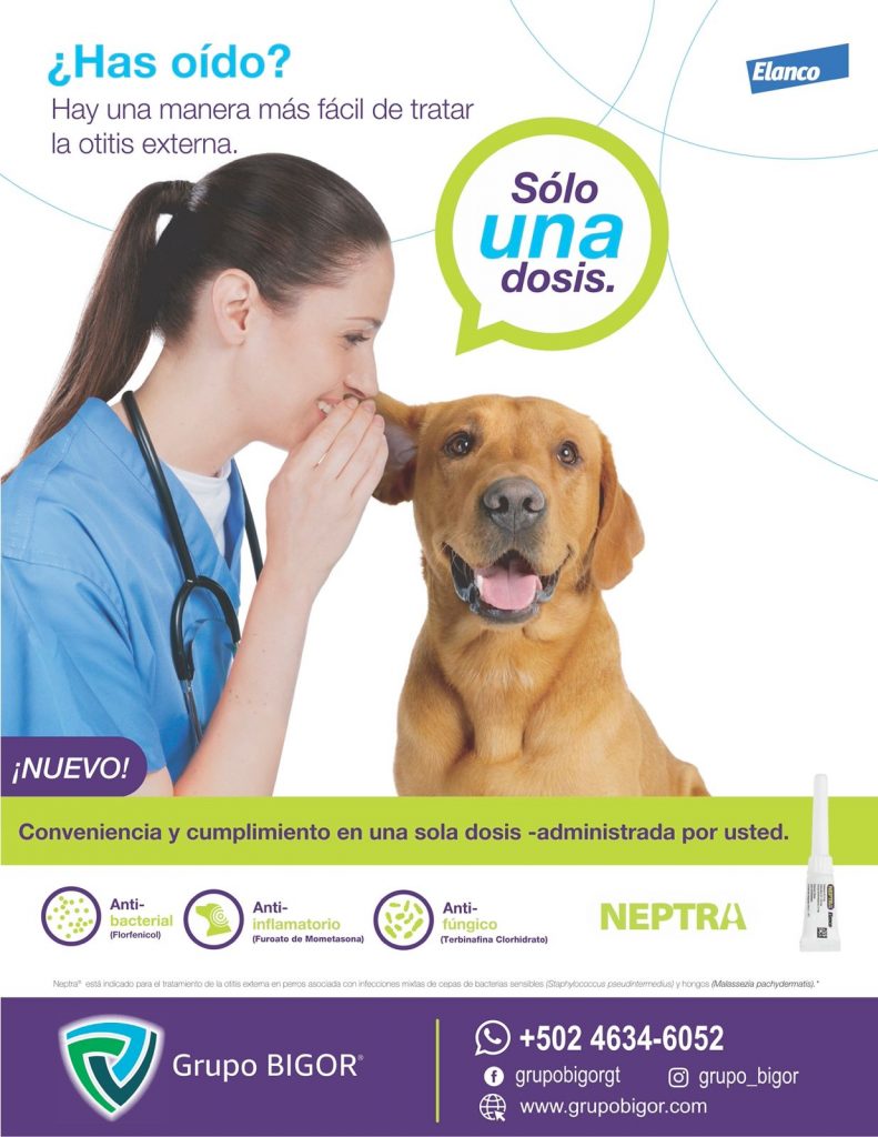 Neptra®
Neptra® es el único tratamiento de una sola dosis para la otitis externa en perros. Su innovadora fórmula ofrece una acción prolongada tras una sola aplicación.