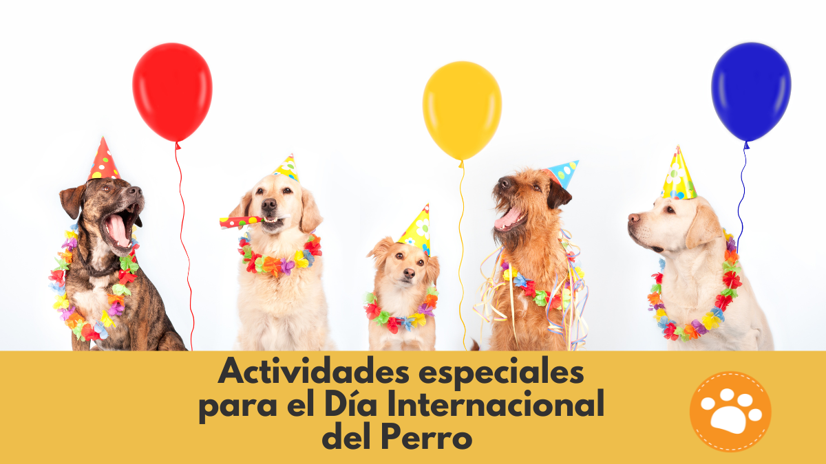 Actividades especiales para el Día Internacional del Perro este 21 de Julio